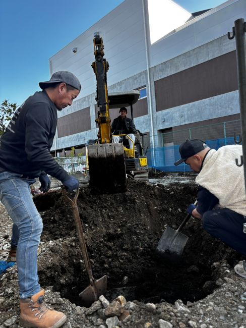 🌳着工中、M様邸の植栽移動を行いました🌳 画像