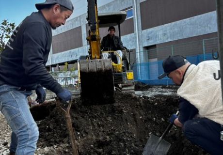 🌳着工中、M様邸の植栽移動を行いました🌳 アイキャッチ画像